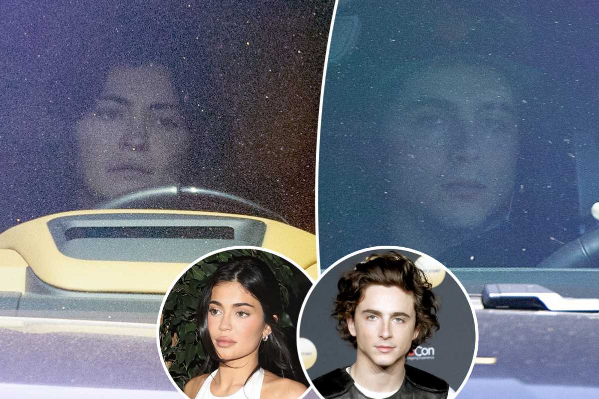 Timothée Chalamet And Kylie Jenner Spotted Together