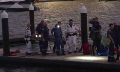 Woman Suffers Severe Injuries After Shark Attack In Sydney Harbour