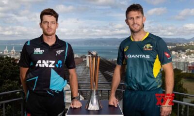 Australia Secures Chappell Hadlee Trophy With Dominant T20 Win Over New Zealand