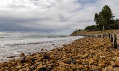 Blue Green Algae Disperses, Torquay Front Beach Reopens