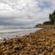 Blue Green Algae Disperses, Torquay Front Beach Reopens