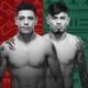 Brandon Moreno Vs. Brandon Royval 2: Anticipated Rematch Headlines Ufc Fight Night In Mexico City