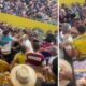 Broncos Stars Embroiled In Brisbane Brawl: Vegas Opener Threatened