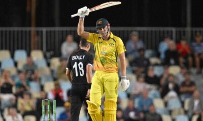 Cameron Green Shines In Australia's Fightback On Day One Against New Zealand