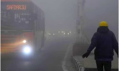 Delhi Weather Update: Cold Intensifies After Rainfall, More Forecasted For February