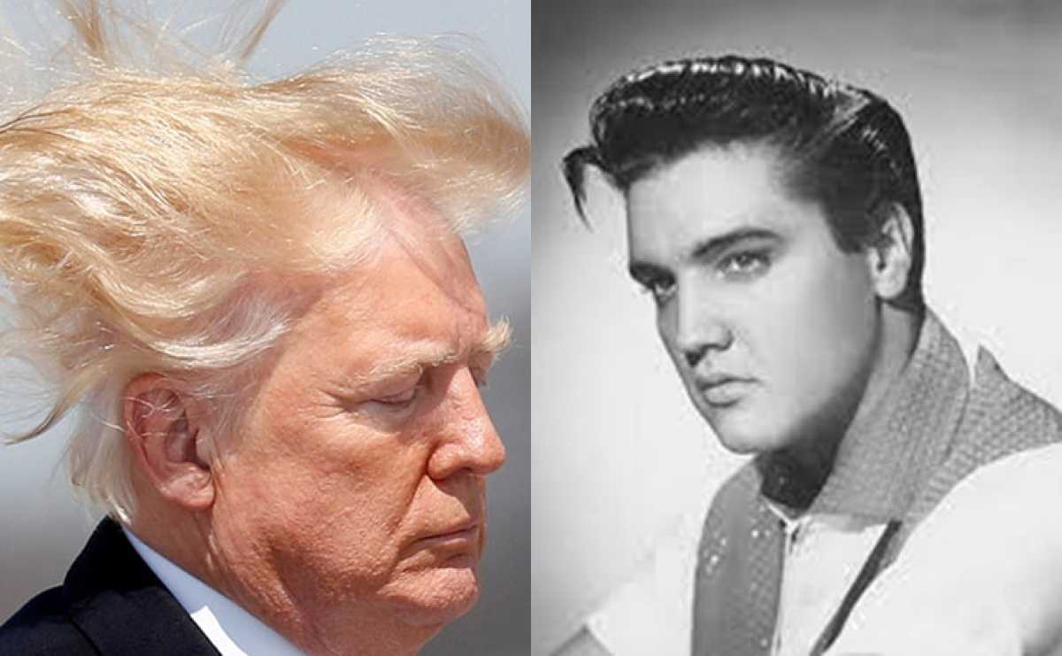 Donald Trump Contemplates Resemblance To Elvis Presley On Instagram