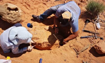 Fossil Discoveries In The Gobi Desert Shaping Evolutionary History