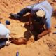 Fossil Discoveries In The Gobi Desert Shaping Evolutionary History