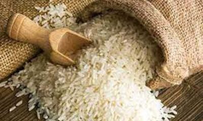 Government Launches Bharat Rice At Rs 29/kg, Provides Relief To Consumers Amid Rising Prices