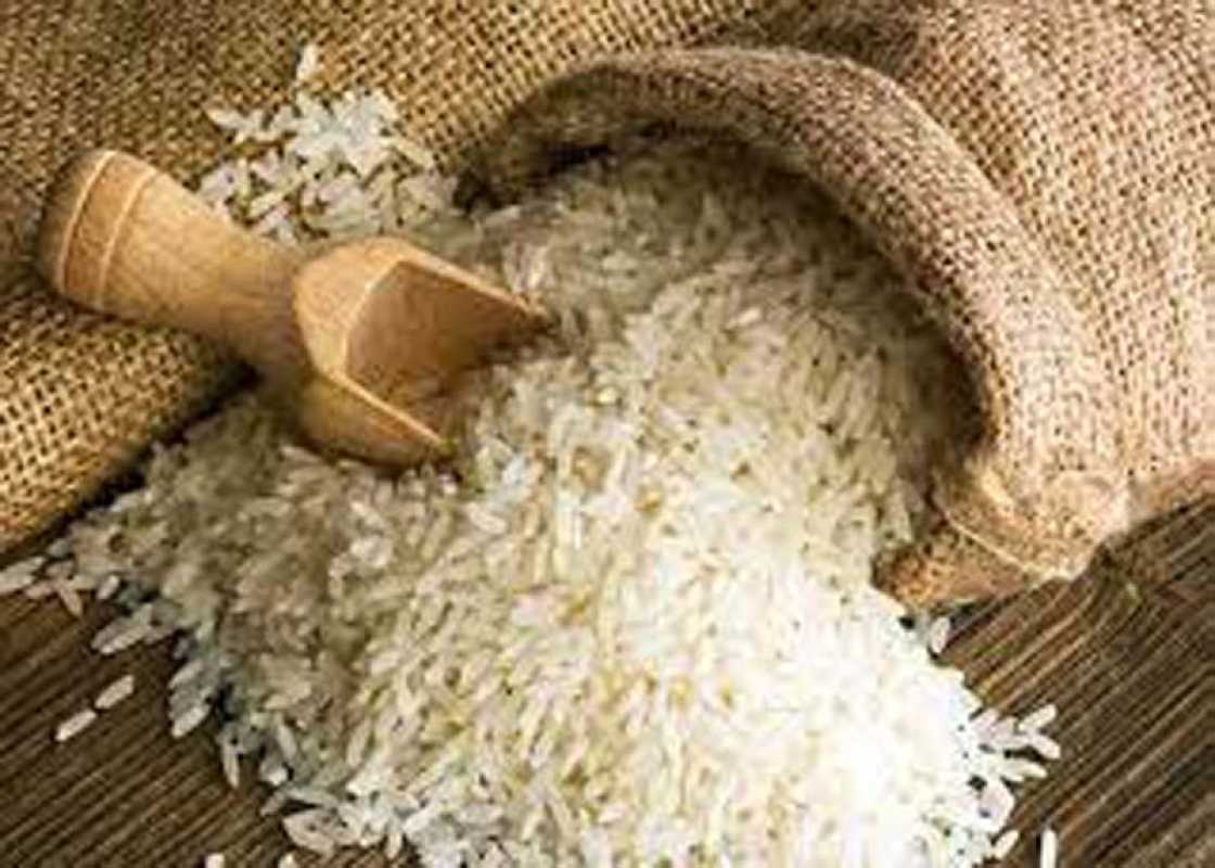 Government Launches Bharat Rice At Rs 29/kg, Provides Relief To Consumers Amid Rising Prices