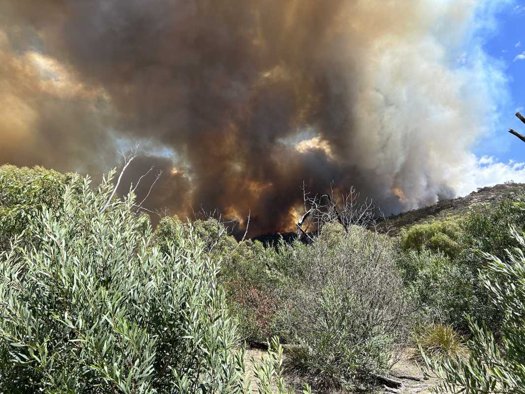 Grampians Communities Threatened By Bushfires And Storms, Catastrophic Fire Rating Issued For Victoria