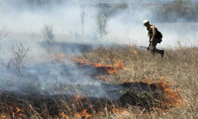 Iowa Department Of Natural Resources Announces Prescribed Burns Near The Great Lakes