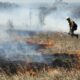 Iowa Department Of Natural Resources Announces Prescribed Burns Near The Great Lakes