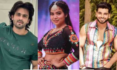 Jhalak Dikhhla Jaa 11 Finalists Revealed: Winner To Receive Special Prize In Abu Dhabi