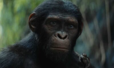 Kingdom Of The Planet Of The Apes' Trailer Reveals Epic Conflict And New Generation Of Ape Leaders