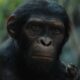 Kingdom Of The Planet Of The Apes' Trailer Reveals Epic Conflict And New Generation Of Ape Leaders