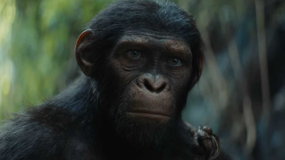 Kingdom Of The Planet Of The Apes' Trailer Reveals Epic Conflict And New Generation Of Ape Leaders