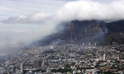 Livestock Ship Stench Engulfs Cape Town Sparks Animal Welfare Concerns