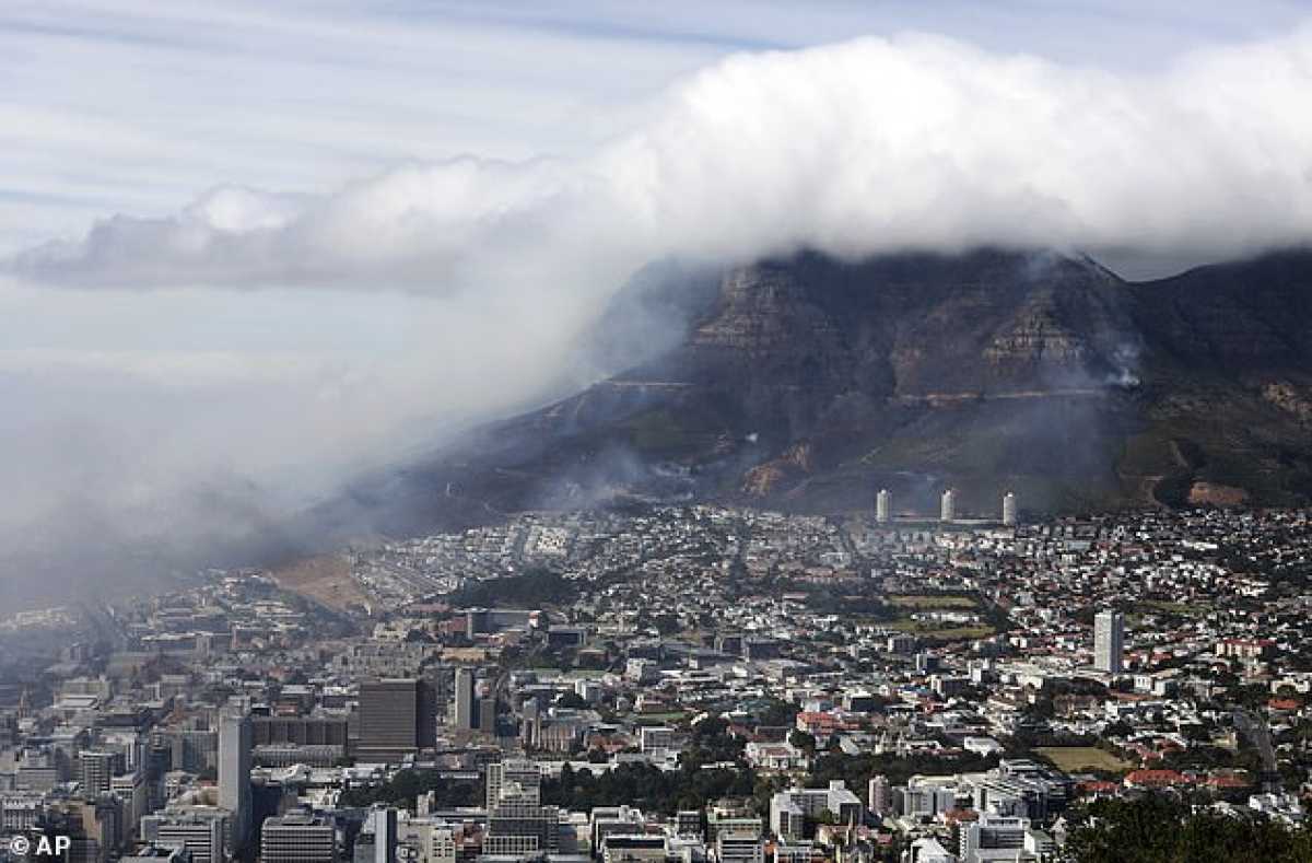 Livestock Ship Stench Engulfs Cape Town Sparks Animal Welfare Concerns