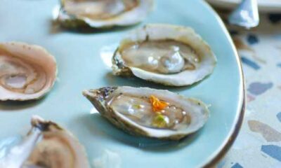 Local Oyster Specials Gaining Popularity In Wilmington Restaurants