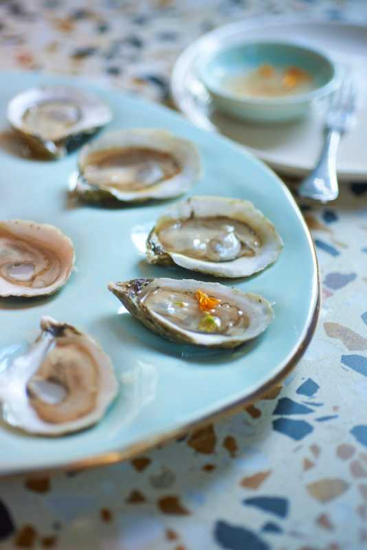 Local Oyster Specials Gaining Popularity In Wilmington Restaurants