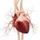 New Study Reveals Two Step Screening Uncovers Heart Failure Risk In Diabetes Patients