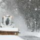 New York Braces For Heavy Snowfall: Campus Operations At Columbia University Continue