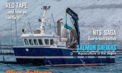 Norwegian Salmon Industry Extracting Wild Fish From West Africa, Igniting Global Concerns