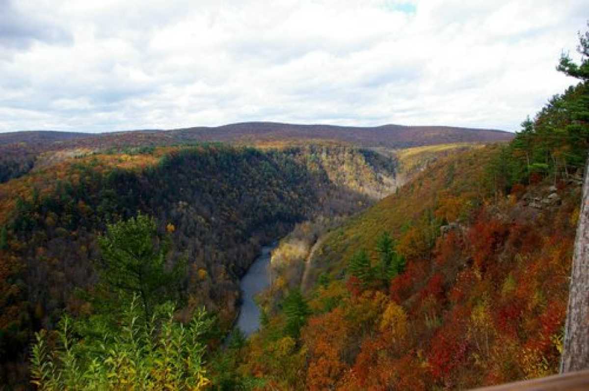 Pennsylvania's Pine Creek Gorge: The State's Hidden Gem