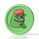 Pepe Meme Coin Surges By 100%, Becomes Third Largest Meme Coin By Market Cap