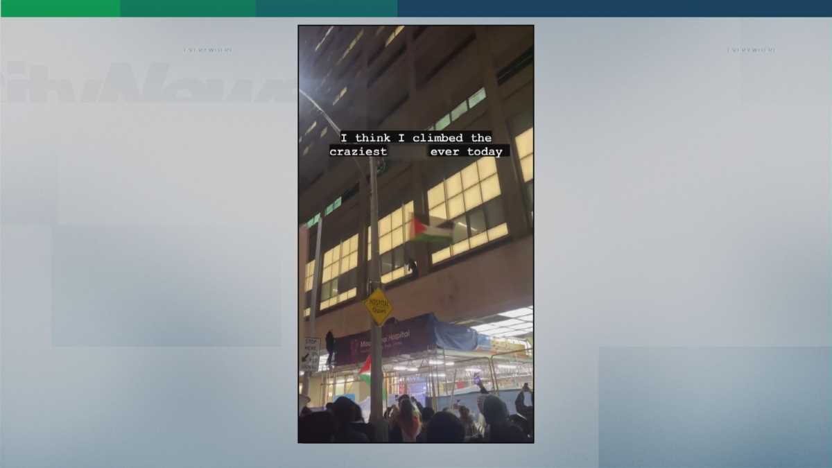 Pro Palestinian Protest Outside Mount Sinai Hospital Sparks Controversy