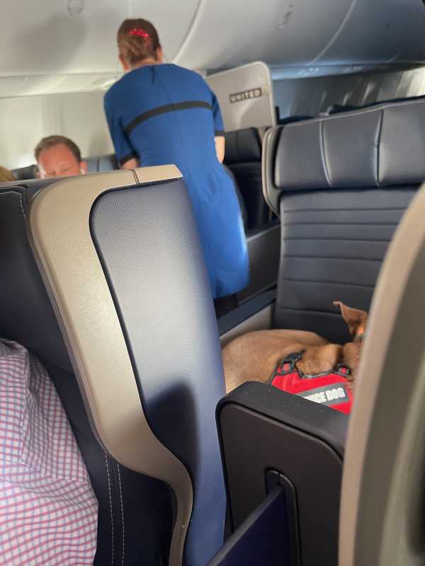 Qantas Flight Attendant's Heartwarming Act Of Kindness On Final Flight Touches Passengers And Crewmates