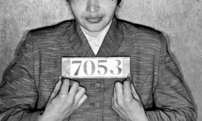 Rosa Parks: The Untold Story Of Civil Rights Activism