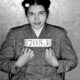 Rosa Parks: The Untold Story Of Civil Rights Activism