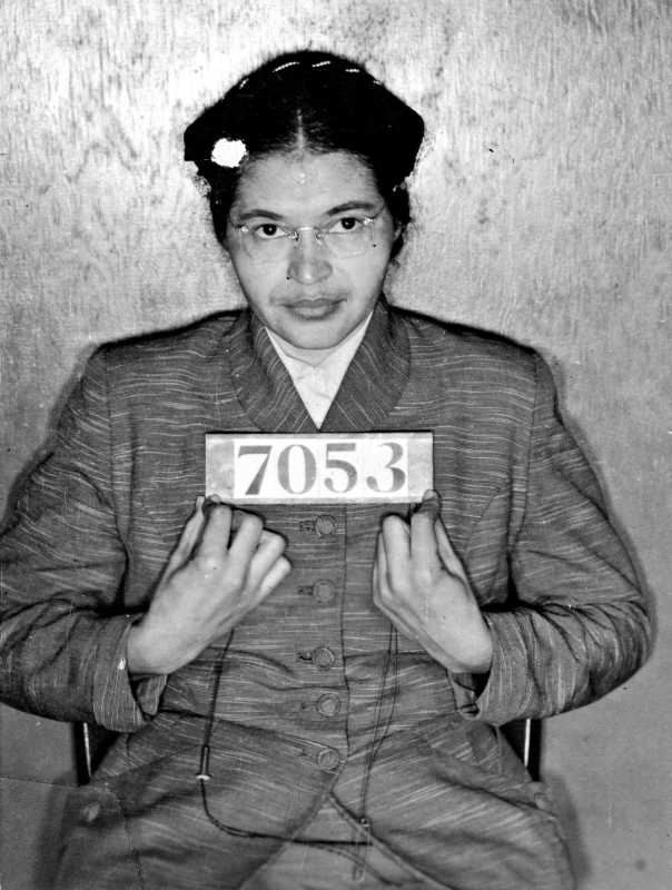 Rosa Parks: The Untold Story Of Civil Rights Activism