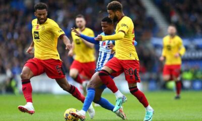 Sheffield United Stun Brighton In Premier League Clash