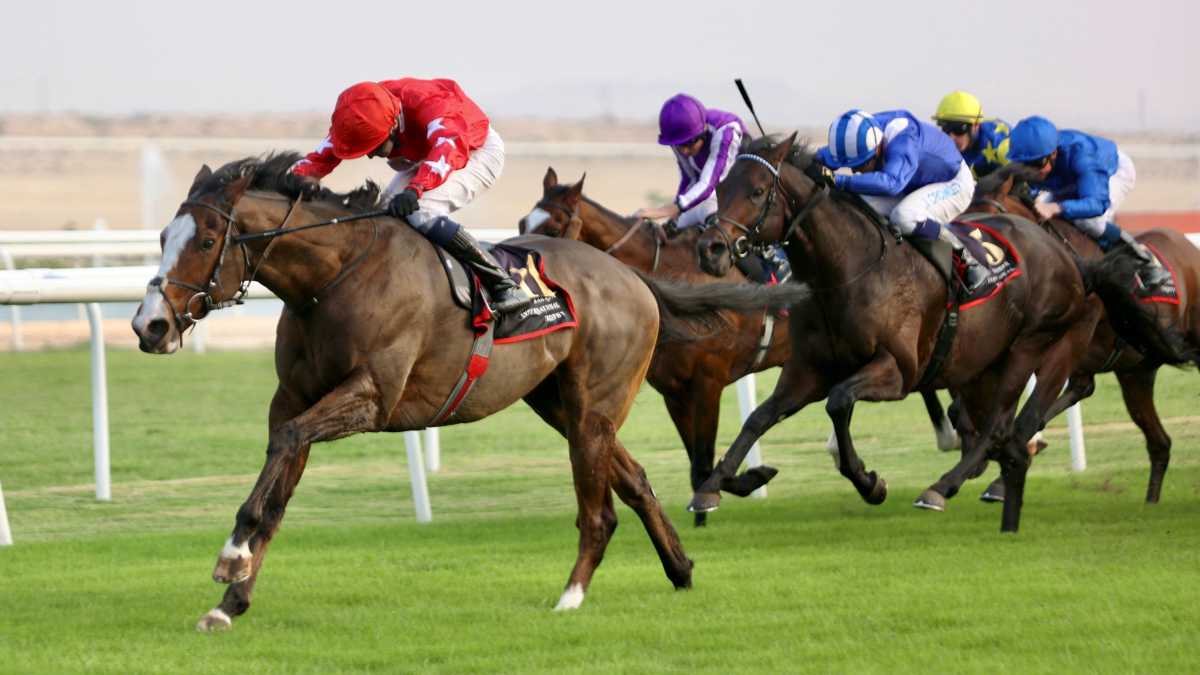 Sir Alex Ferguson Linked Horse Spirit Dancer Ready For Riyadh Challenge