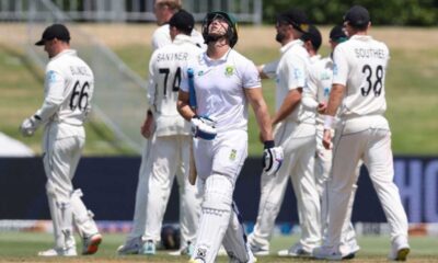 South Africa Fight Back On Day 1 Against New Zealand In Second Test