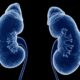 Study Reveals Insights Into Nephrotic Syndrome: Causes, Symptoms, And Treatment Options Explored