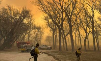 Texas Panhandle Wildfires Prompt Disaster Declarations And Evacuations