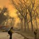 Texas Panhandle Wildfires Prompt Disaster Declarations And Evacuations