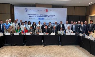 Usaid And Fao Collaborate To Enhance One Health In Uzbekistan