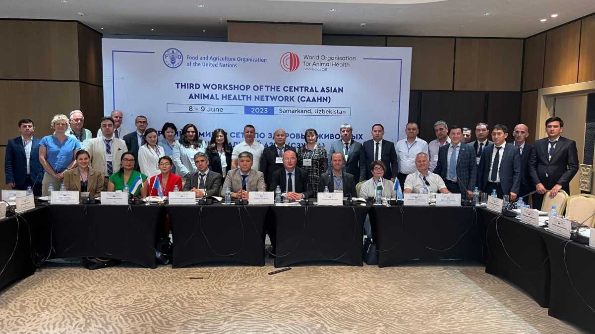 Usaid And Fao Collaborate To Enhance One Health In Uzbekistan