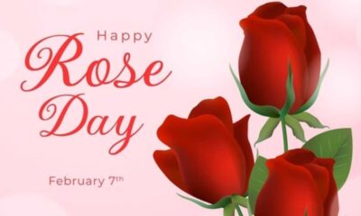 Valentine's Week 2024: Celebrate The Month Of Love With Rose Day