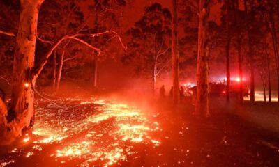 Victoria Battles Devastating Bushfires As Temperatures Soar