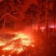 Victoria Battles Devastating Bushfires As Temperatures Soar