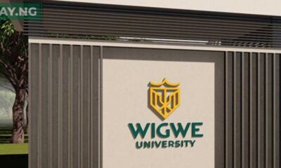 Wigwe University Clarifies Decision To List Fees In Usd