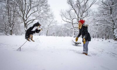 Winter Storm Lorraine Brings School Closures And Travel Disruptions Along East Coast