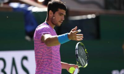 Bee Invasion Interrupts Indian Wells Quarterfinal At Bnp Paribas Open