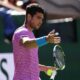 Bee Invasion Interrupts Indian Wells Quarterfinal At Bnp Paribas Open